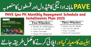 PAVE Gov PK Monthly Repayment Schedule