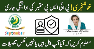BISP September Payment Released