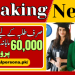 CM Punjab Veterinary Internship Program