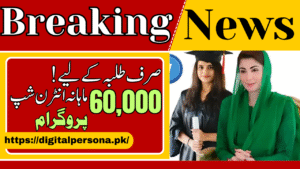 CM Punjab Veterinary Internship Program