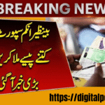 BISP New Payment