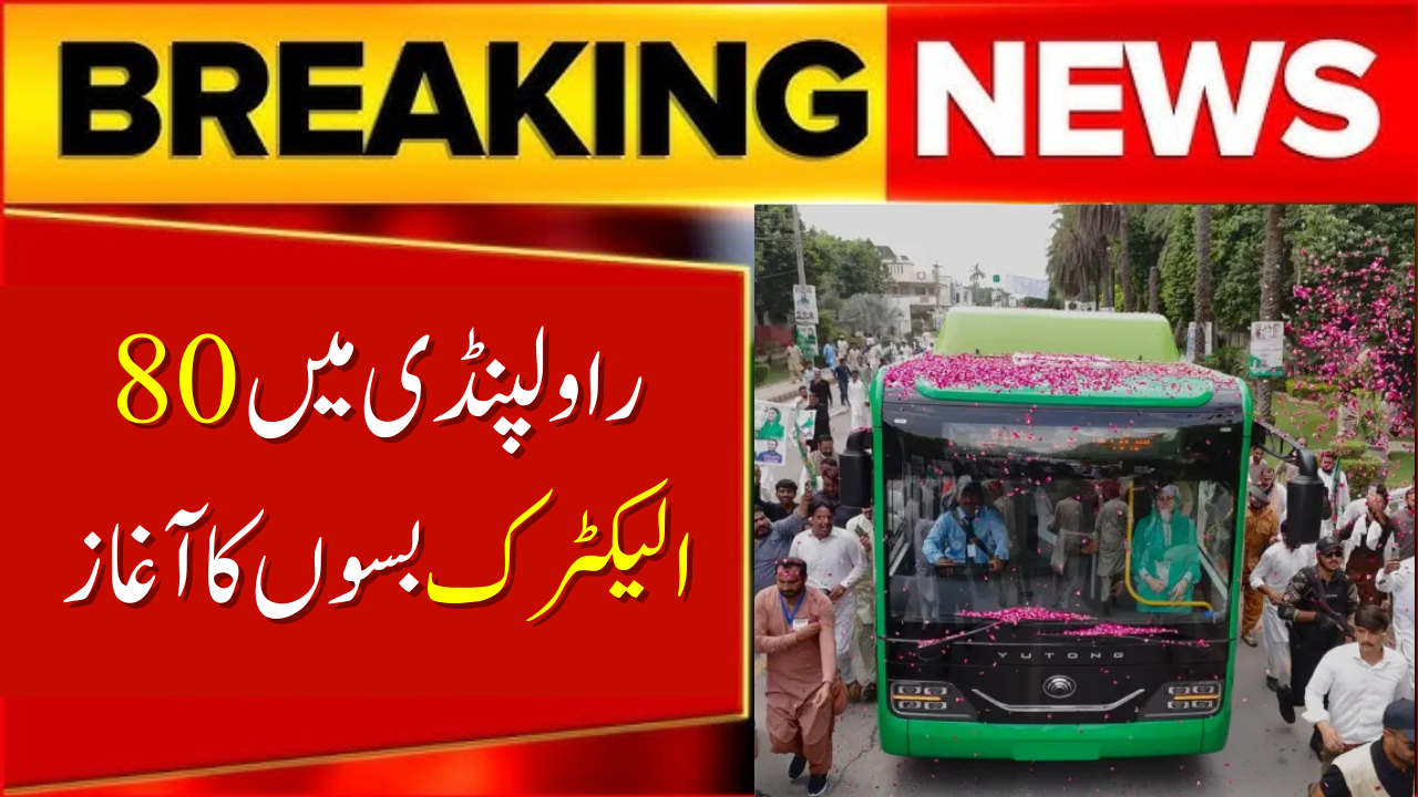 80 Electric Buses to Hit Rawalpindi Roads in October
