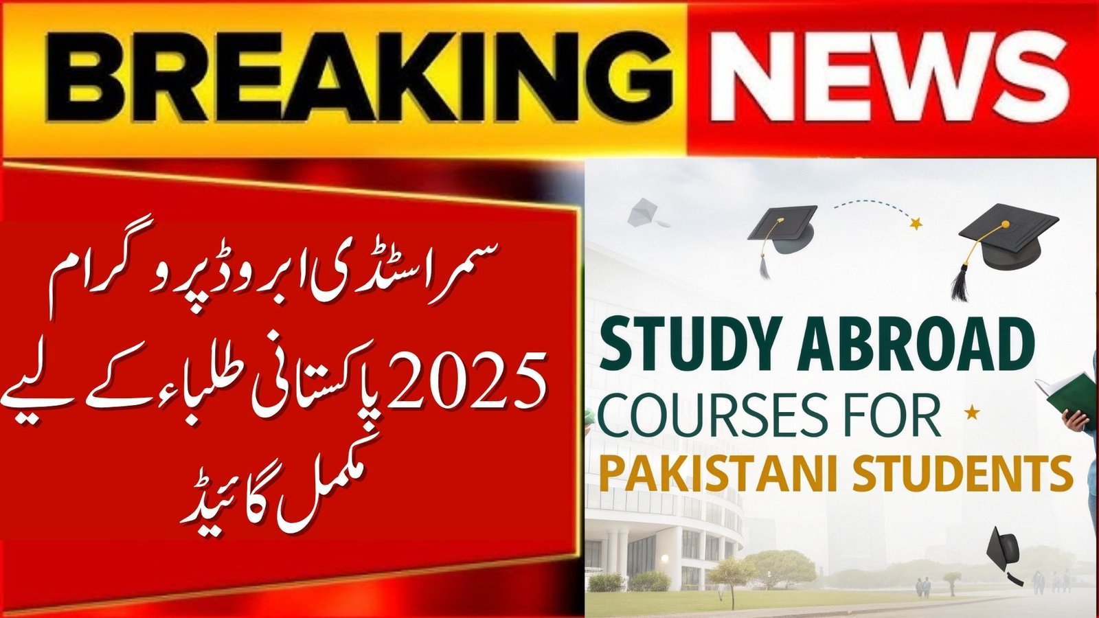 Summer Study Abroad Program