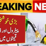 Petrol and Diesel Prices