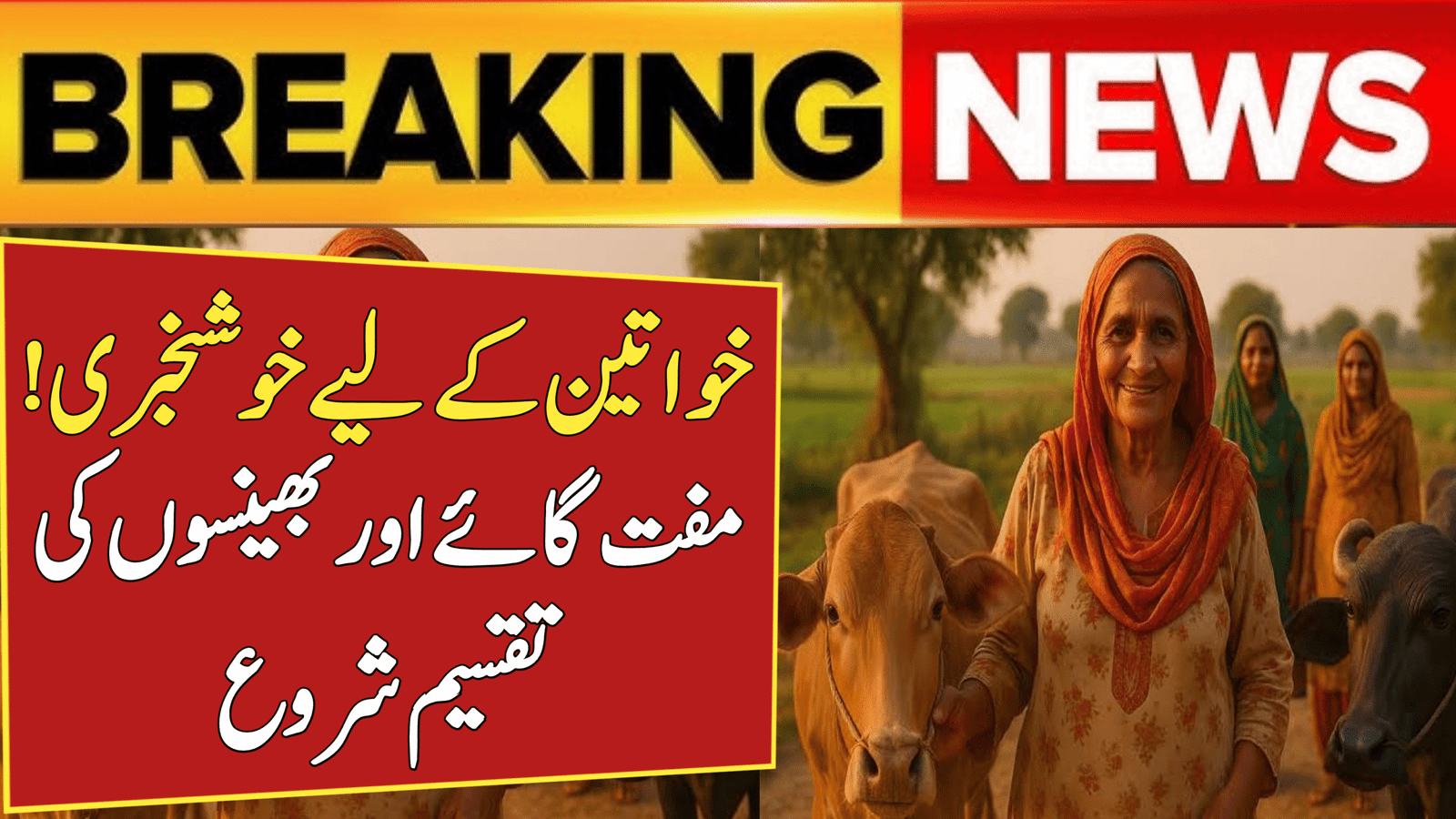 Free Cow and Buffalo Distribution Program