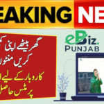 eBiz Punjab Online Business Registration