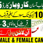 CM Punjab Asaan Karobar Finance