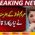 Maryam Nawaz Hunarmand Jawan Program