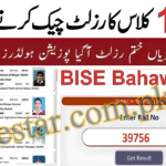 Bahawalpur Board 11th Class Result