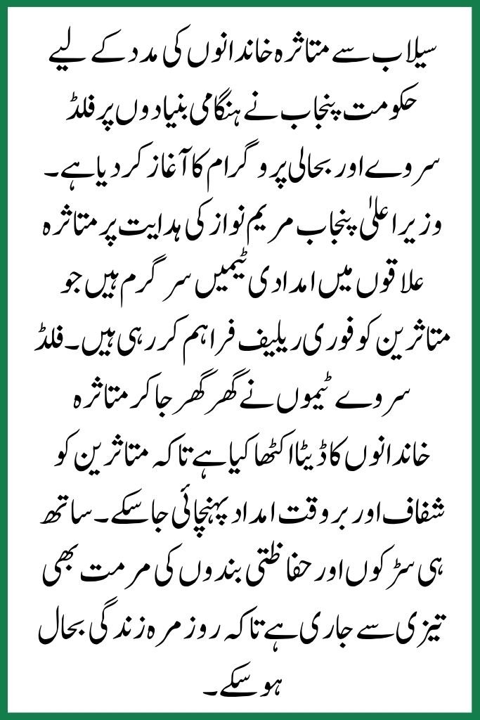 Flood Relief and Rehabilitation Efforts in Punjab