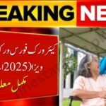 Care Workforce Work to Residence Visa