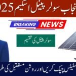 CM Punjab Solar Scheme Application