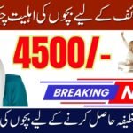 Benazir Taleemi Wazaif Eligibility Criteria for New Registration