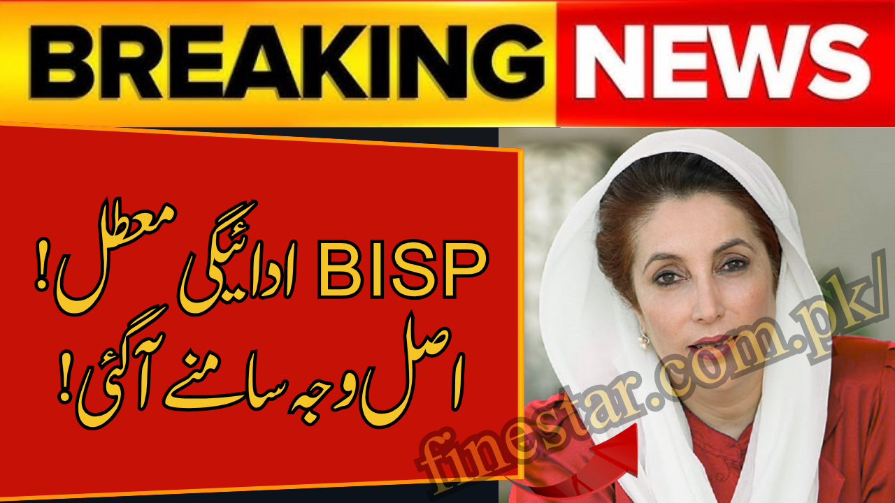 BISP 8171 Payment Suspended