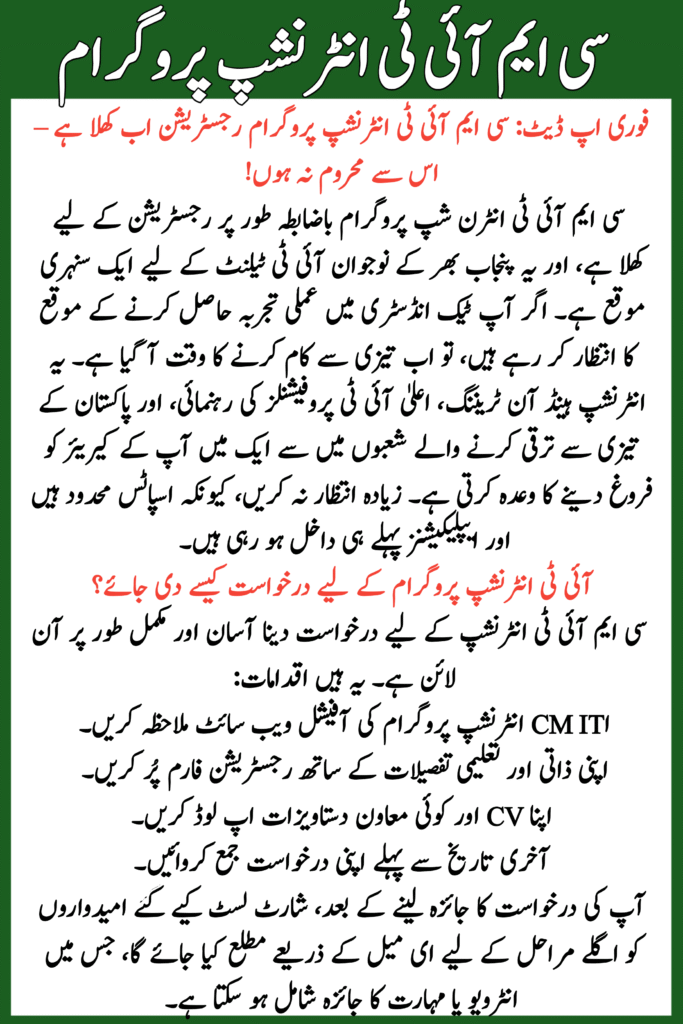 CM IT Internship Program