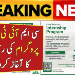 CM IT Internship Program