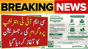 CM IT Internship Program