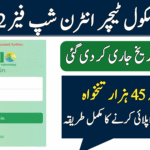 Punjab School Teacher Internship Phase 2