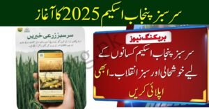 Sarsabz Punjab Scheme