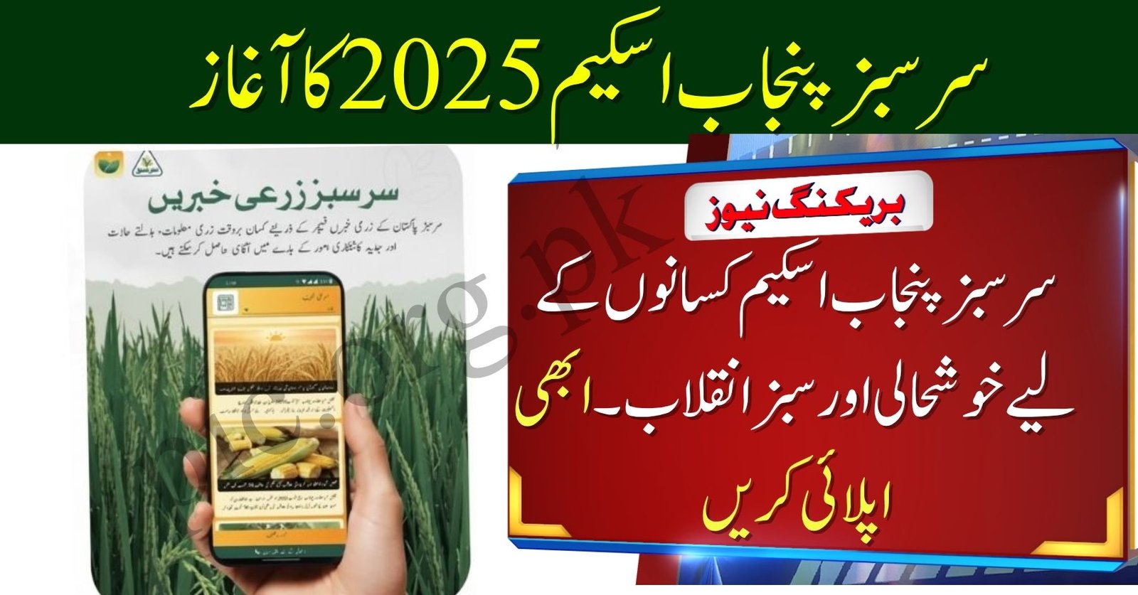 Sarsabz Punjab Scheme