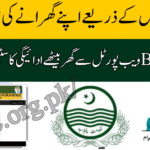 Benazir Income Support 8171 Portal