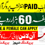 Punjab IT Internship Program