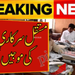 Punjab Government Ends Permanent Jobs