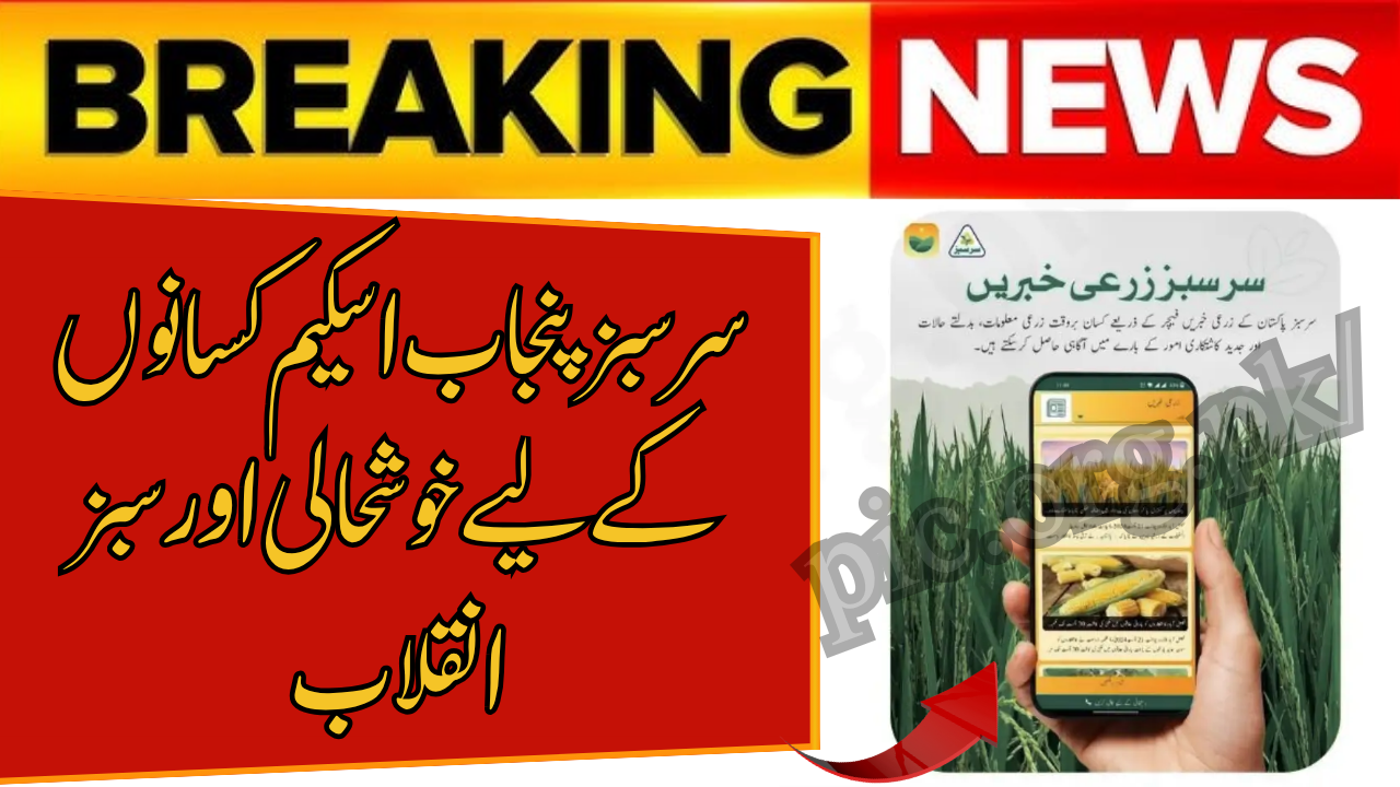 Sarsabz Punjab Scheme