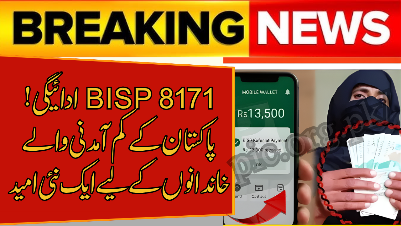 BISP 8171 Payment Discreet